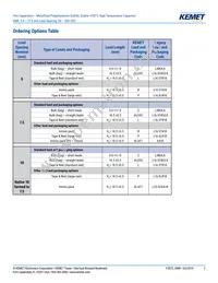 SMR5182J100J01L16.5CBULK Datasheet Page 2