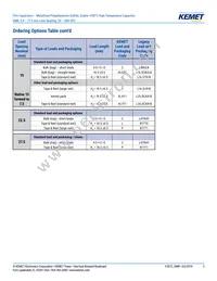 SMR5182J100J01L16.5CBULK Datasheet Page 3