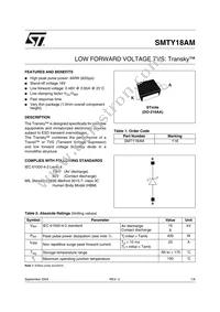 SMTY18AM Datasheet Cover