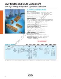 SMX55C105KAN240 Datasheet Page 2