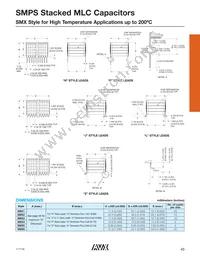 SMX55C105KAN240 Datasheet Page 3
