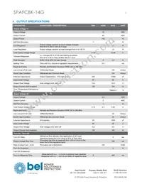 SPAFCBK-14G Datasheet Page 3
