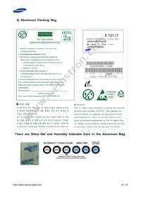 SPHWHTL3D303E6RTM2 Datasheet Page 19