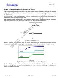 SPM1004-5V0C Datasheet Page 17