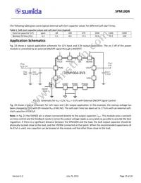 SPM1004-5V0C Datasheet Page 19