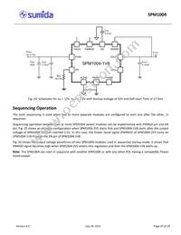 SPM1004-5V0C Datasheet Page 20