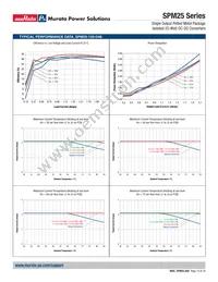 SPM25-120-D48P-C Datasheet Page 13
