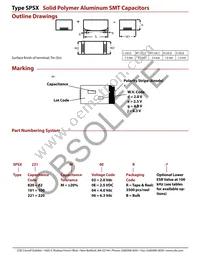SPSX561M02R-4 Datasheet Page 2