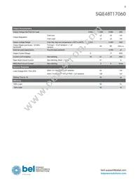 SQE48T17060-NGB0G Datasheet Page 3