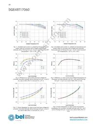 SQE48T17060-NGB0G Datasheet Page 10