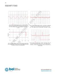 SQE48T17060-NGB0G Datasheet Page 12