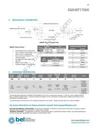 SQE48T17060-NGB0G Datasheet Page 13