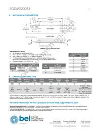 SQE48T20033-NGB0G Datasheet Page 13