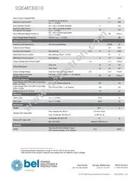 SQE48T30010-NDB0G Datasheet Page 3