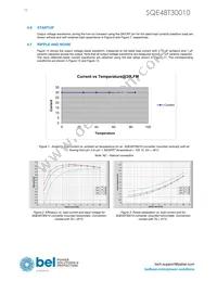 SQE48T30010-NDB0G Datasheet Page 10