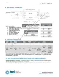 SQE48T30010-NDB0G Datasheet Page 14