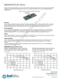 SQE48T30033-PGB0G Datasheet Page 10