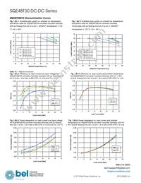 SQE48T30033-PGB0G Datasheet Page 16