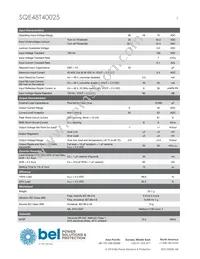 SQE48T40025-NDAKG Datasheet Page 3