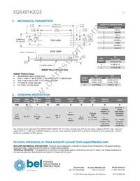 SQE48T40025-NDAKG Datasheet Page 13