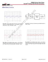 SQM48T25010-NCB0 Datasheet Page 14