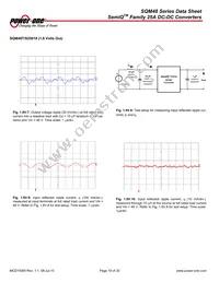 SQM48T25010-NCB0 Datasheet Page 18