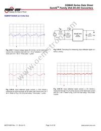 SQM48T25015-PCA0 Datasheet Page 14