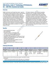 SRA25B104KGS Datasheet Cover