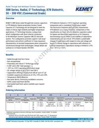 SRR08F105KGS Datasheet Cover