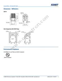 SS21V-R400005 Datasheet Page 2