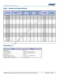 SS21V-R400005 Datasheet Page 3