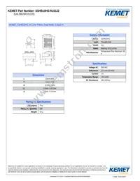 SSHB10HS-R10122 Datasheet Cover