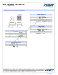 SSHB21H-R031580 Datasheet Cover