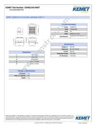 SSHB21HS-04507 Datasheet Cover