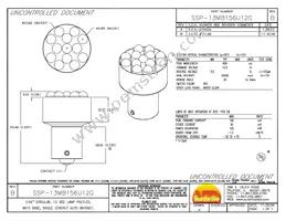 SSP-13MB156U12G Datasheet Cover