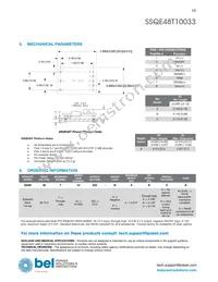 SSQE48T10033-NACCG Datasheet Page 13