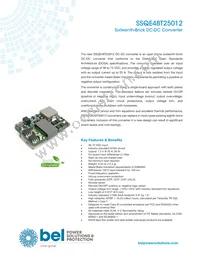 SSQE48T25012-NAAN Datasheet Cover