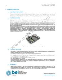 SSQE48T25012-NAAN Datasheet Page 8