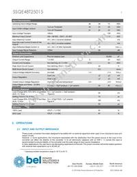 SSQE48T25015-NAANG Datasheet Page 3