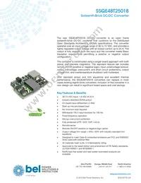 SSQE48T25018-PAAN Datasheet Cover
