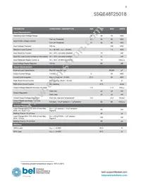 SSQE48T25018-PAAN Datasheet Page 3