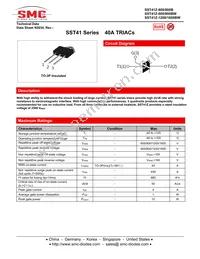 SST41Z-600BW Datasheet Cover