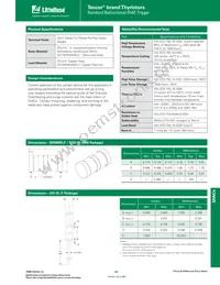 ST40 Datasheet Page 5