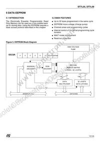 ST7FL09Y0MAE Datasheet Page 15