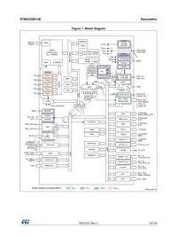 STM32G081RBT6 Datasheet Page 13