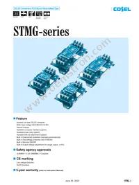 STMGFW304815-N3 Cover