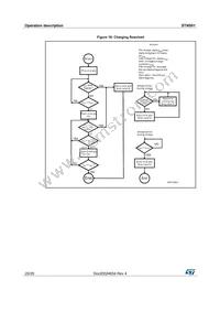 STNS01PUR Datasheet Page 20