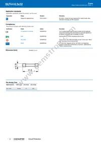 SUT-H-6332-50A00-CTG-TT-NI Datasheet Page 2