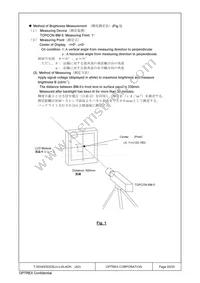 T-55343GD035JU-LW-ADN Datasheet Page 20