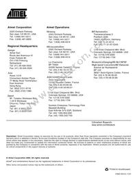 T2117-TASY Datasheet Page 15